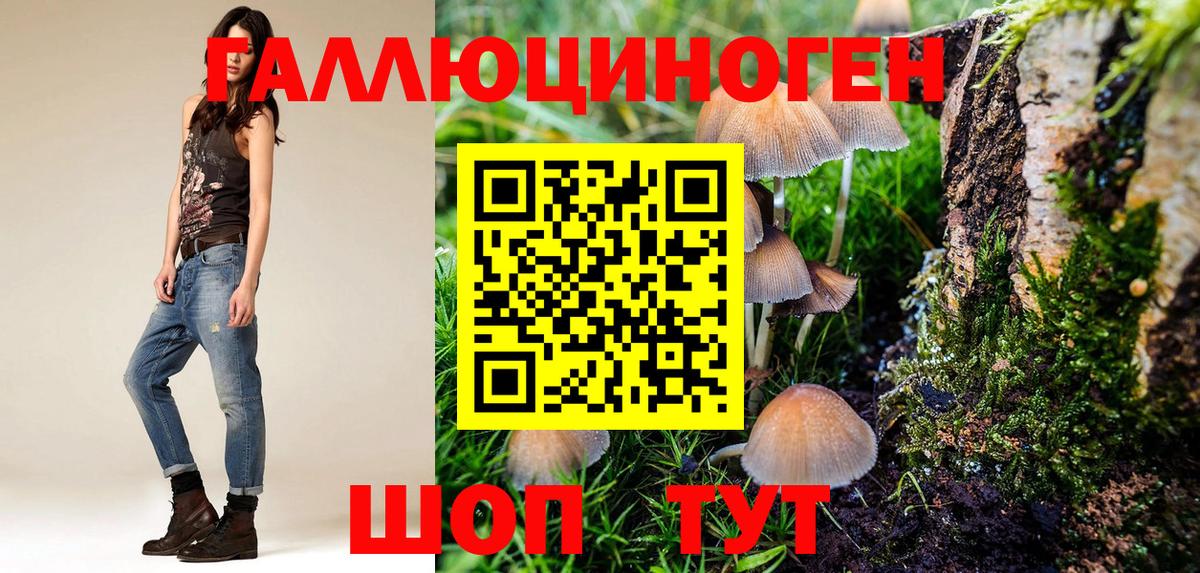 Арзамас  Псилоцибиновые грибы Psilocybine cubensis  цена наркотик  Вход с VPN 