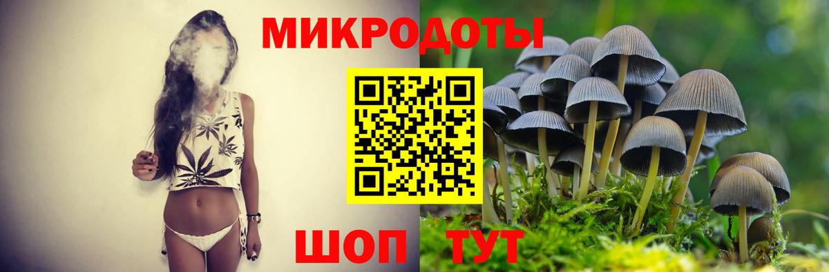 Псилоцибиновые грибы мицелий Арзамас